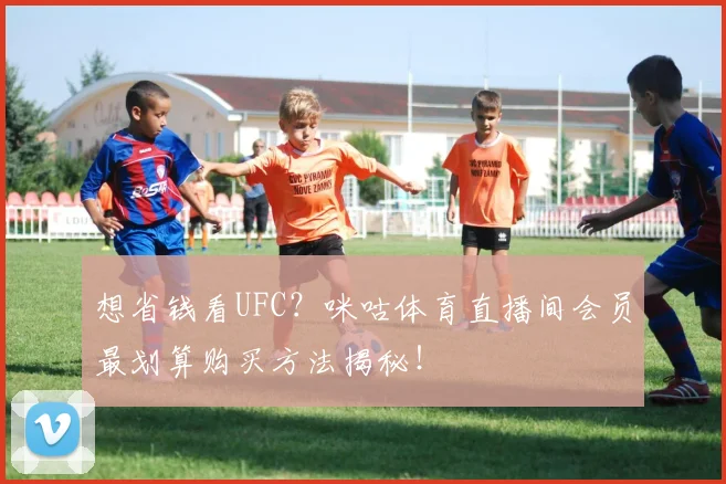 想省钱看UFC?咪咕体育直播间会员最划算购买方法揭秘!