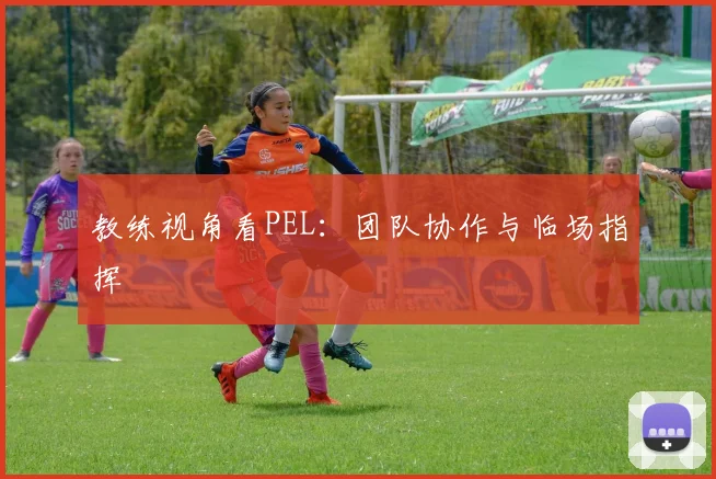 教练视角看PEL:团队协作与临场指挥